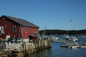 Stonington Maine harbor