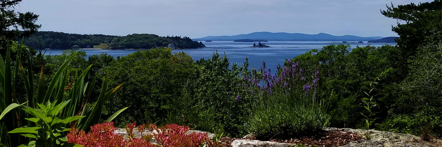 Ocean view from cottage porch